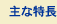 主な特徴